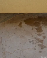 Thin teen Veronica goes nude while modelling by herself near a pool