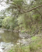 Hairy pussy Billie in bikini at the river