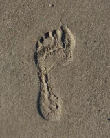 Amateur babe Sloan Kendricks enjoys a day on the beach modeling her swimsuits