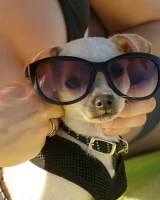 Amateur babe Sloan Kendricks enjoys a day on the beach modeling her swimsuits