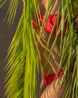 Blonde beach fairy in red bikini with green palm leaf strips her puffy nipples sexy body