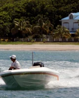 Wicked weasel mauritius