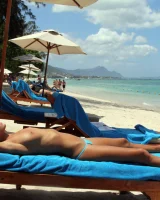 Wicked weasel mauritius