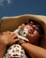 Hairy pussy kitten in bikini