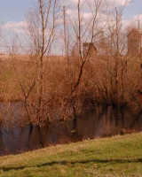 Blonde beauty is by the lake in sexty bikini