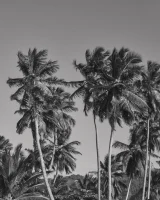 Exciting nude beach busty girl in yellow bikini