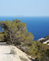 Beautiful sexy party girl in bikinis