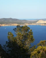 Beautiful sexy party girl in bikinis